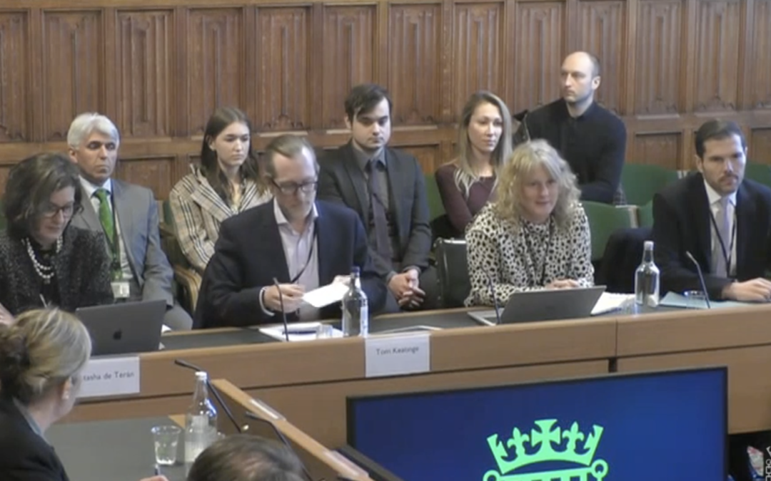 IPS Attends Oral Evidence on The Situation in Ukraine and the UK’s Response