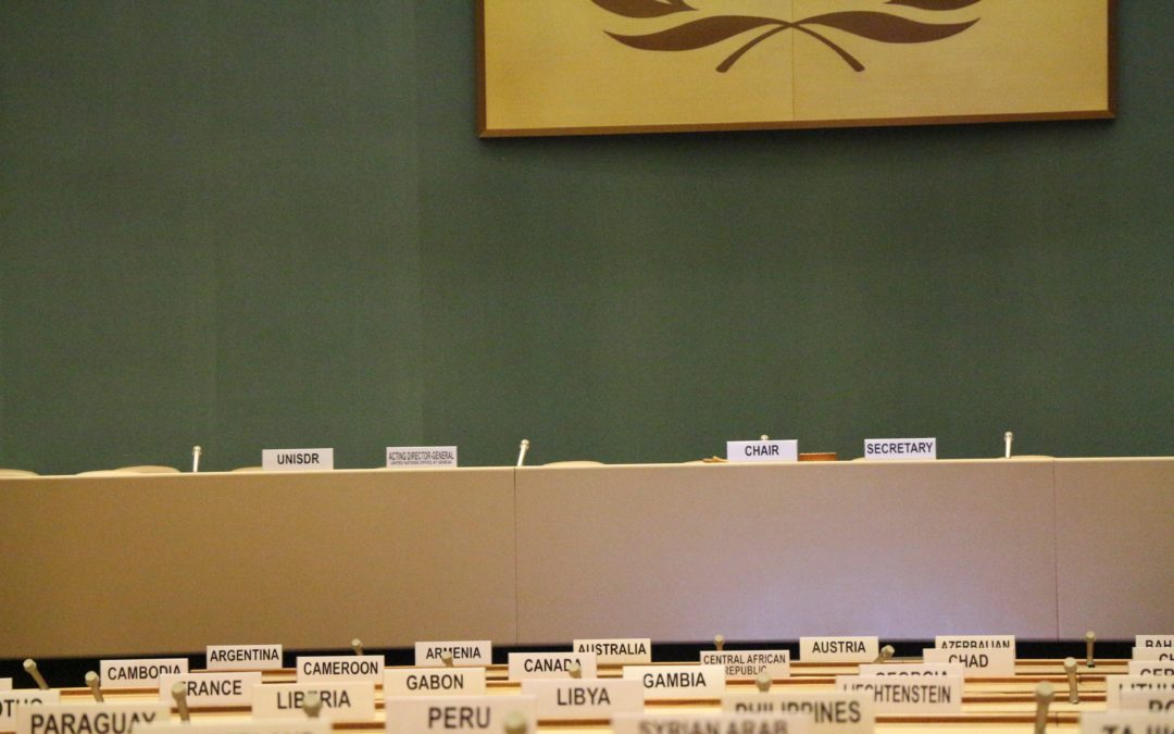 Federica D’Alessandra Participates to Panel on Establishing Permanent UN Investigative Mechanism