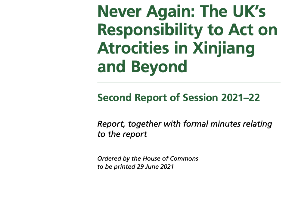Never Again: Report of House of Commons Foreign Affairs Committee Cites IPS Written Evidence