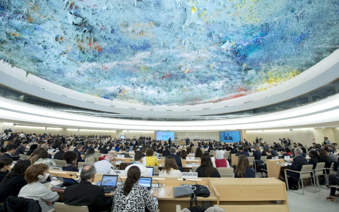 IPS Participates in UN Investigative Mechanisms’ Engagement with Civil Society