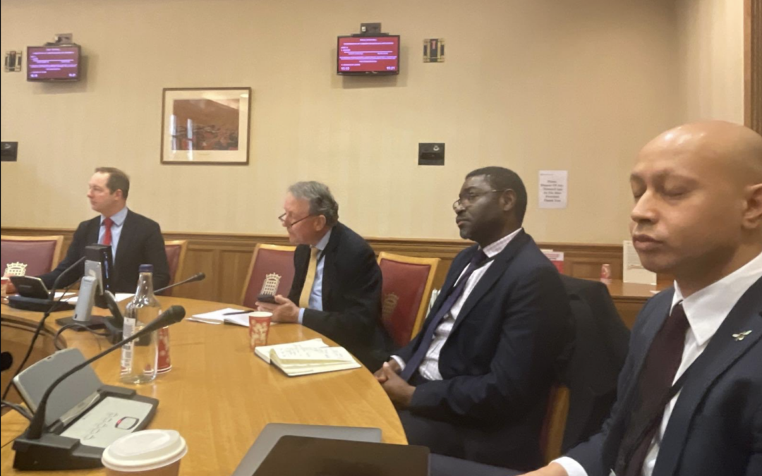 Dapo Akande Hosts Briefing at UK Parliament on Creation of Special Tribunal in Ukraine
