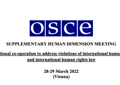 IPS Attends OSCE’s Supplementary Human Dimension Meeting