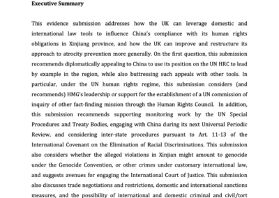 IPS Responds to Parliamentary Inquiry on UK-China Trade Relations