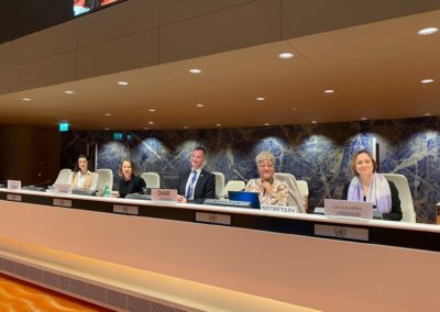 IPS Briefs Group of Friends of R2P in Geneva